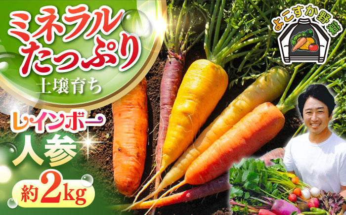 
            【先行予約】【数量限定】レインボー　人参セット　約2kg（10月〜6月） 野菜  やさい 【鈴也ファーム】 [AKCE014]
          