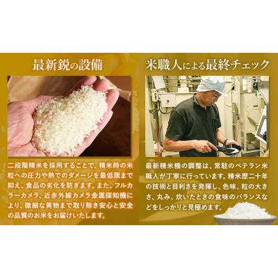 ふるさと納税 南阿蘇村 阿蘇びより 白米 20kg (5kg×4袋) 熊本県産 《7-14日以内に出荷(土日祝を除く)》 |  | 01