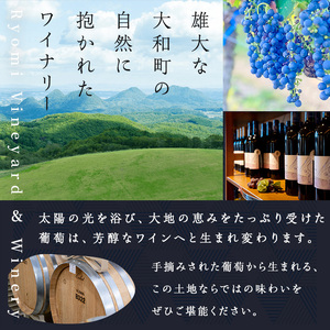 了美ワイン ゼフィール オルディネール 750ml×2本 白ワイン シャルドネ 甲州 ドライ ぶどう ブドウ アルコール 限定 宮城県産 みらいファームやまと 【了美ワイナリー】ta565