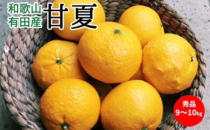 
                  【2027年先行予約】甘夏 秀品 約9～10kg 和歌山県有田産【あまなつ 甘夏 ミカン 夏みかん 蜜柑 柑橘 和歌山】_U6304
                