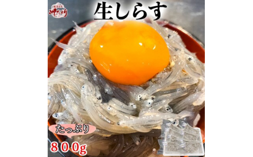 
岬だよりの生しらす(お刺身)800g(100g×8個)【1448504】
