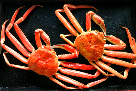 鳥取県産 訳あり蒸し松葉ガニ 700g以上2枚【松葉蟹 松葉ガニ カニ かに 蒸しガニ 訳あり 早期受付 季節限定 カニしゃぶ 山陰 鳥取県 境港産】