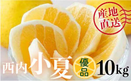 ＜先行予約＞【優品】西内小夏 10kg　N55 [NU-06] 【西内農園】