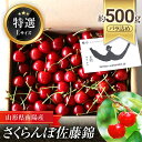 【ふるさと納税】 【令和6年産先行予約】 さくらんぼ 「佐藤錦」 約500g (特選 L玉) バラ詰め 《令和6年6月下旬～発送》 『最上園』 サクランボ 果物 フルーツ 産地直送 山形県 南陽市 989