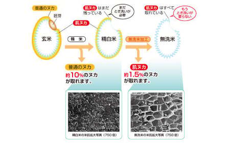 子育て応援米 【令和7年産】 奈義町産米 BG無洗米 （ きぬむすめ ） 10kg （5kg×2袋）【2025年10月上旬より順次発送開始】 お米 米 無洗米 岡山県