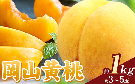 岡山の黄桃 約1kg《8月下旬-9月下旬頃出荷》｜桃桃桃桃桃桃