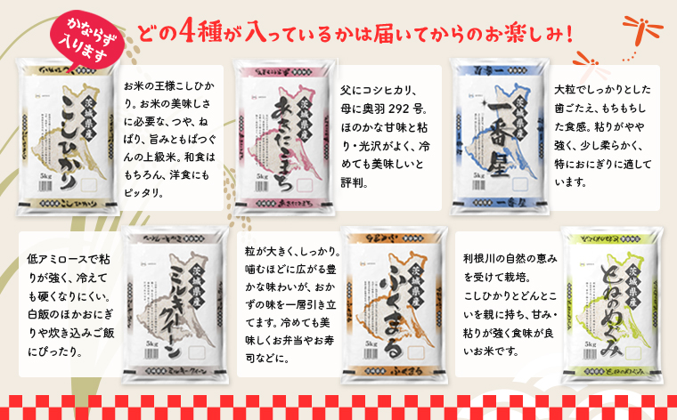 【3か月毎月発送】＜2024年11月下旬初回発送＞ 定期便 3000セット 限定 お米 4種 食べくらべ 20kg 茨城県産