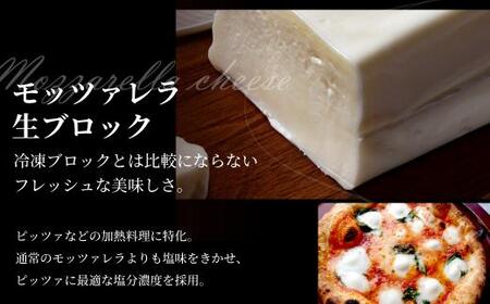 モッツァレラチーズ生ブロック　チーズ モッツァレラ 冷蔵  個包装 カプレーゼ パスタ ピザ  前菜 サラダ 新鮮 生乳 国産 低温殺菌 乳製品 無添加 大容量 業務用サイズ   飛騨高山 トリデンテ