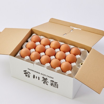 【毎月定期便】計180個【生みたて濃厚】谷川養鶏の美人たまご30ヶ入り　※サイズ指定できません全6回【配送不可地域：離島】