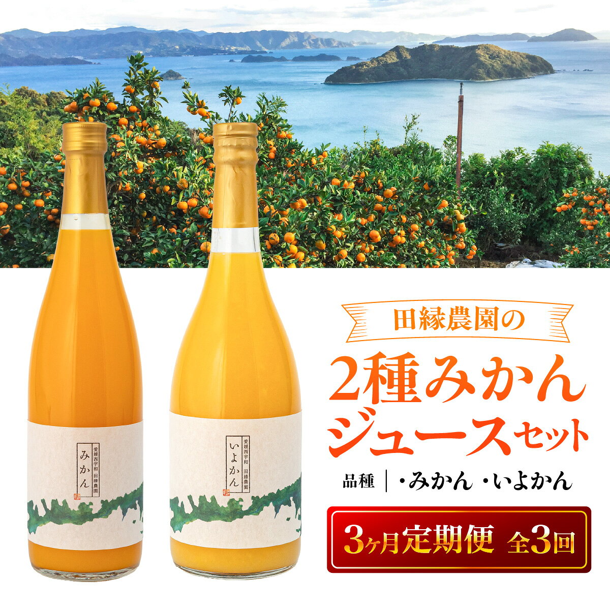 【ふるさと納税】【3ヶ月定期便】田縁農園 2種みかんジュース（みかん いよかん）セット 全3回 人気 おすすめ ランキング ジュース みかんジュース オレンジジュース ミカン みかん オレンジ 温州みかん 伊予柑 セット 詰合せ 贈り物 ギフト 愛媛県 伊方町 送料無料 IKTA047