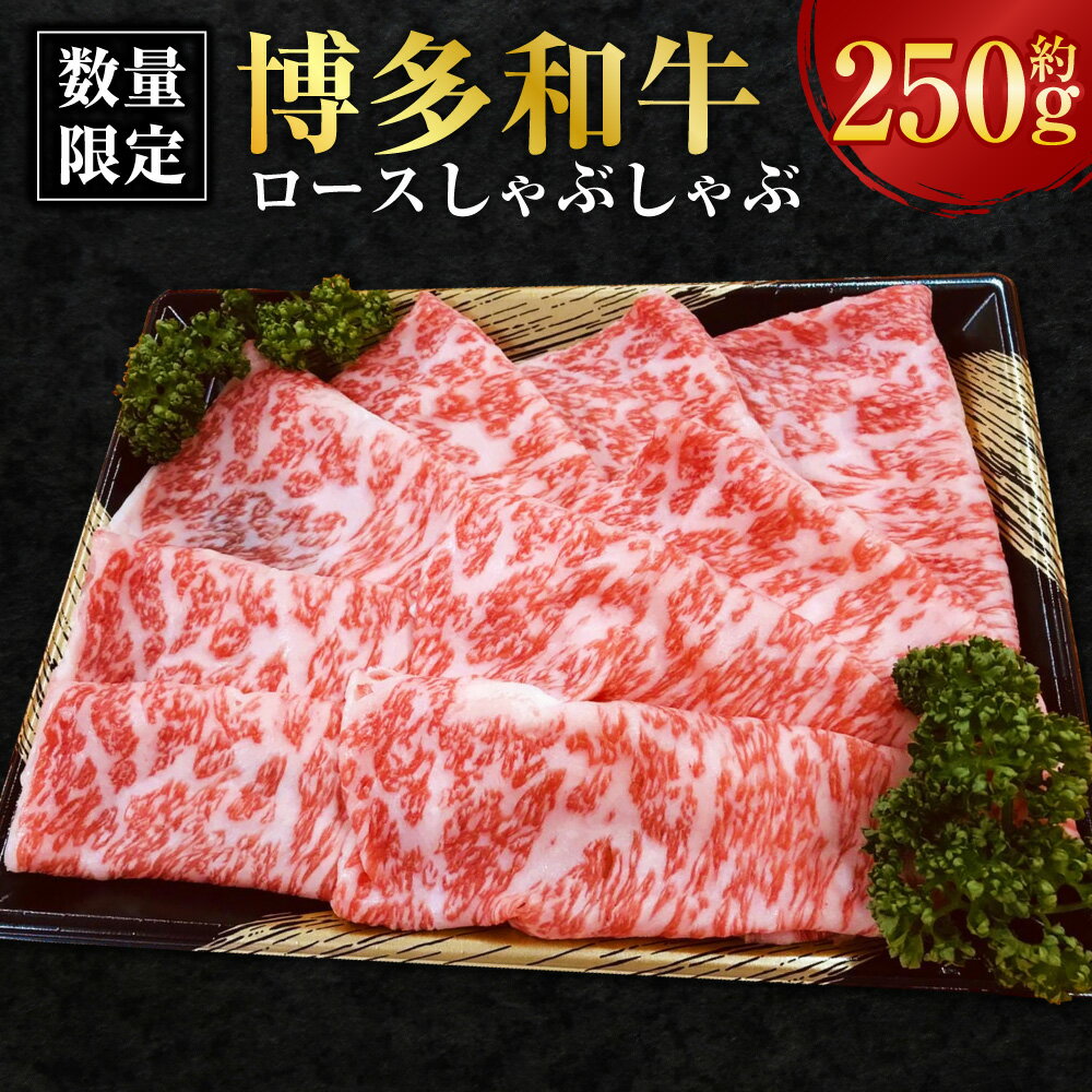 【ふるさと納税】【数量限定博多和牛】ロース しゃぶしゃぶ 約250g 黒毛和牛 リブロース サーロイン 肉 牛 牛肉 お肉 降り 冷凍 福岡県産 国産 九州 福岡県 香春町 送料無料