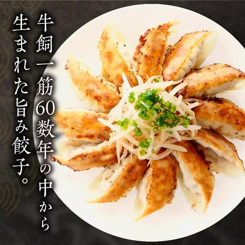 牧場育ち 牛肉100％旨み餃子（餃子12個パック×5） 餃子 ぎょうざ 惣菜 牛肉
