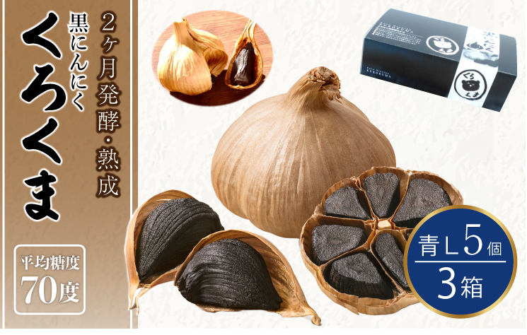 黒にんにく くろくま青L 計15個 5個×3箱