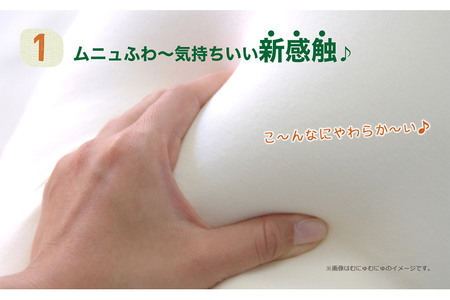 王様の抱き枕 Sサイズ（ライトグリーン）小さめの抱きまくらタイプ