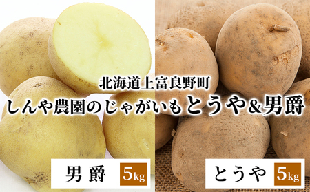 【令和8年産】しんや農園のじゃがいも「とうや5kg & 男爵5kg」 計10kg 野菜 根菜 北海道産 北海道のじゃがいも 食べ比べ 煮崩れしにくい ホクホク 【北海道上富良野町産】