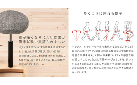 バランス シナジー(カバー付き) 椅子 腰痛 対策 イス カバー バランスラボ 岐阜県 美濃市 Sシートシックグレーネイビー