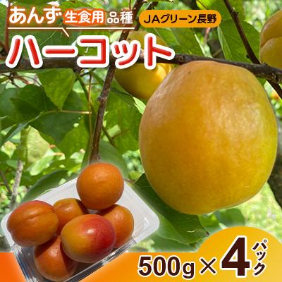 ふるさと納税 長野市 【先行受付】JAグリーン長野　あんず　生食用品種　ハーコット　500g×4パック