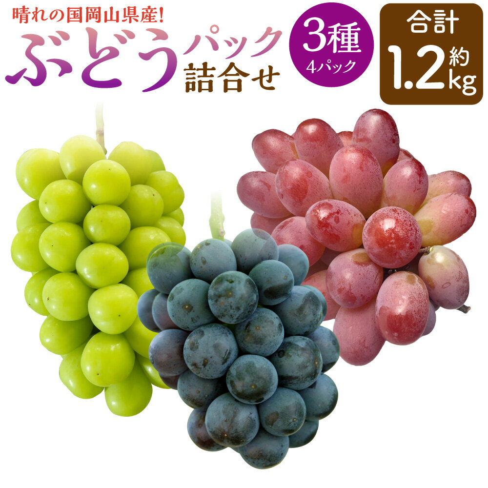 【ふるさと納税】岡山県産 ぶどう パック 詰合せ ※3種4パックセット 計約1.2kg 【2026年9月上旬～10月下旬発送予定】 岡山 シャインマスカット ニューピオーネ 旬 果物 くだもの フルーツ ぶどう ブドウ 葡萄 セット 奈義町 送料無料