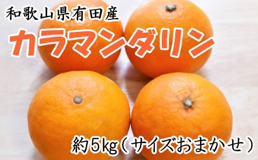 【春みかん】和歌山有田産カラマンダリン約5kg(サイズおまかせ)※2027年4月上旬～2027年5月中旬頃に順次発送【tecj1022】
