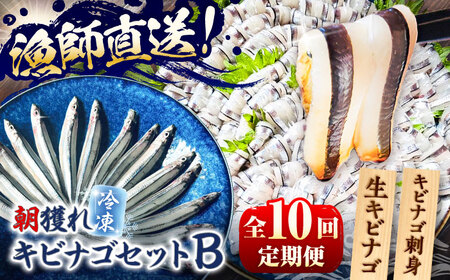 【全10回定期便】きびなごセットB（キビナゴのお刺身＆生キビナゴ） 五島市/Sun Sea Go Company[PGL012]