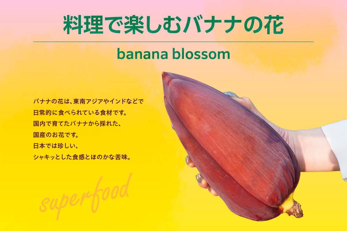 バナナの花　1個（300g以上） | バナナ ばなな 花 果物 フルーツ バナナハート 貴重 南国 産地直送 常滑市産 愛知県産 国内産 健康 就労支援 農業 アスナロファーム 農福 農福連携返礼品 
