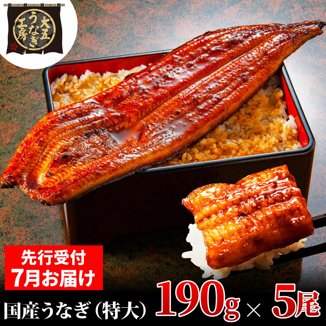 【ふるさと納税】先行受付 【7月上旬配送】 うなぎ蒲焼 190g×5尾(950g) うなぎ 鰻 蒲焼 蒲焼き 大五通商 静岡 島田市　お届け：2025年7月1日～2025年7月10日