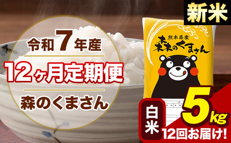 令和7年産 新米【12ヶ月定期便】森のくまさん 白米 5kg 5kg×1袋 計12回お届け《1月から出荷開始》 お米 こめ 熊本県産 ご飯 備蓄