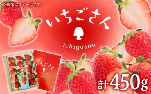 
                  【2027年1月以降順次発送】いちごさん（450g×1パック） / いちご イチゴ 苺 果物 フルーツ strawberry ichigo / 佐賀県 / JAからつ 唐津うまかもん市場 [41ABCA001]
                