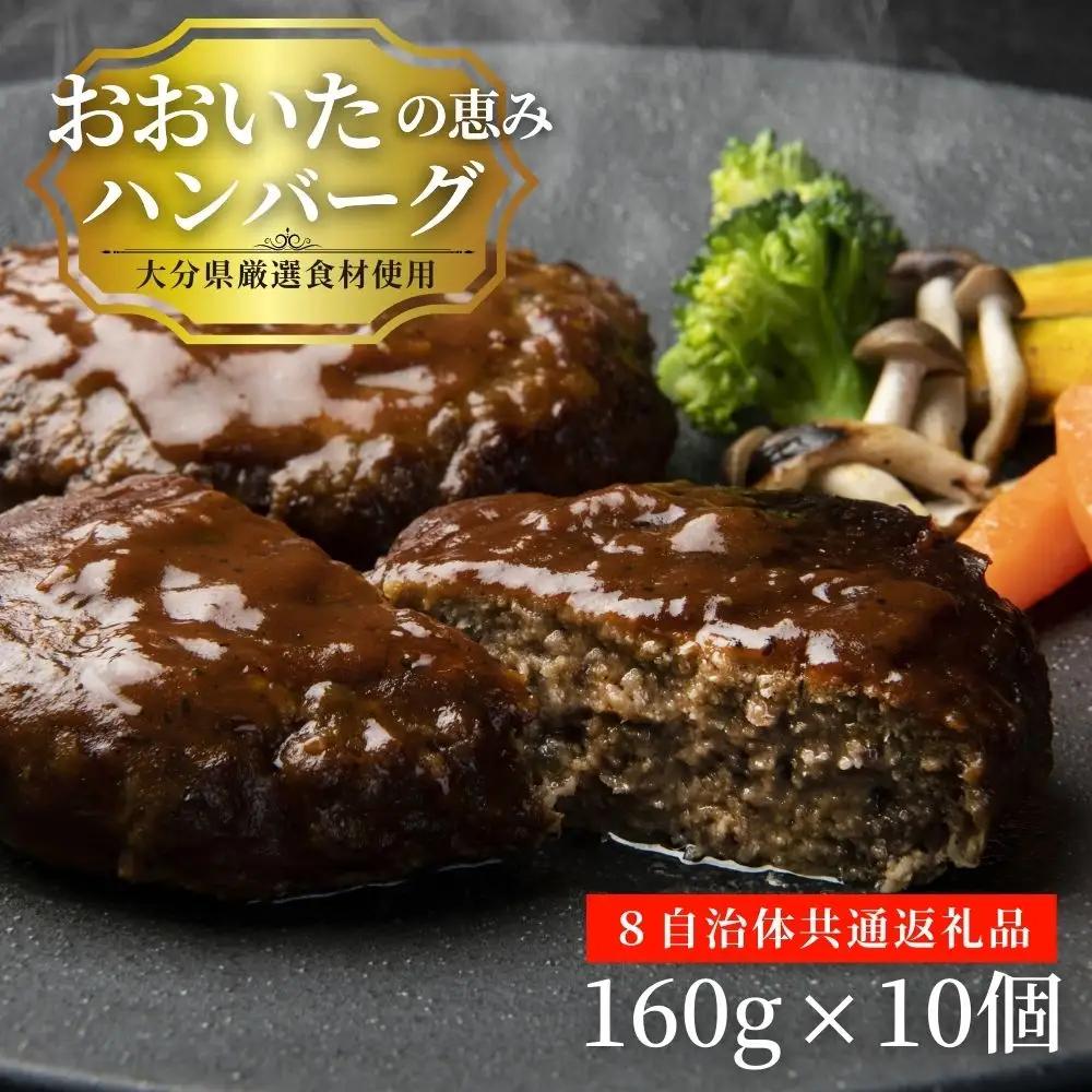 ハンバーグ 大分の恵み ハンバーグ 160g×10個