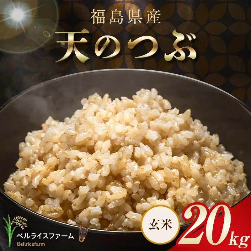 〈先行予約〉令和8年産 農家直送 ベルライスファーム 天のつぶ 玄米 20kg F6U-488