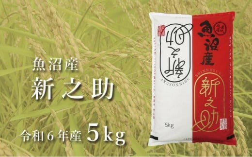 【ふるさと納税】令和7年産新米 中魚沼産「新之助(しんのすけ)」5kg 選べる配送回数 新潟県 津南町 有限会社イタバ