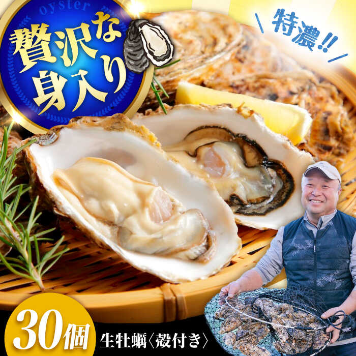 【ふるさと納税】高品質の牡蠣を産地直送！ 【生牡蠣】【着日指定可能】『てつまるかき』牡蠣 殻付き 30個 加熱用 かき 海鮮 海産物 簡単 広島県産 江田島市/有限会社テツマル海産[XCO007]