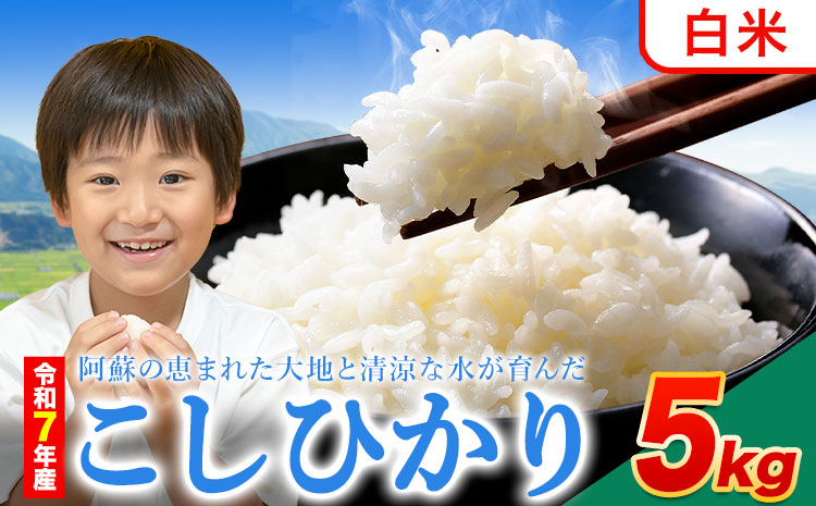 令和7年産 こしひかり 白米  5kg白米 精米 熊本県産(南阿蘇村産含む) 単一原料米 南阿蘇村《7-14日以内に出荷予定(土日祝除く)》---mna_kh7_wx_12500_5kg_h---