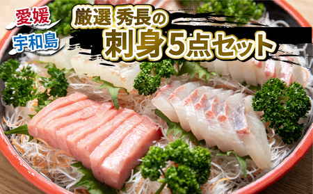 厳選 刺し身 5点 セット 刺し身 秀長水産 D030-016003