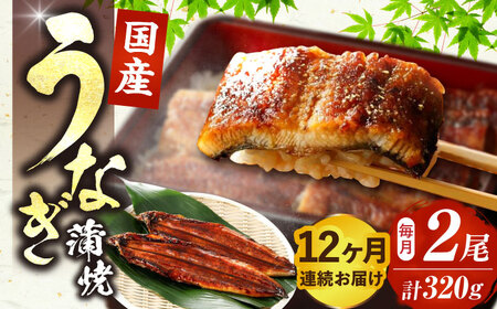 【全12回定期便】福岡県産 うなぎ 蒲焼 大2尾　合計 320 g（1尾あたり 160g以上）《豊前市》【福岡養鰻】 国産 うなぎ 大 [VAD013]