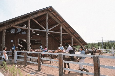 鶴居どさんこ牧場ホーストレッキング　半日コース(1名様)