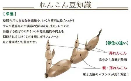 75T-04【大口れんこん】新潟県長岡産レンコン4kg（3.6kg+芽れんこん0.4kg）