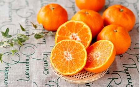 [和歌山県産] 旬をお届け！ 季節の「 温州 みかん 」 2kg ※箱込み 秀品 (極早生・早生・中生・晩稲)【M~2Lサイズおまかせ】【2025年10月中旬～2026年2月下旬までに順次発送】＜味好