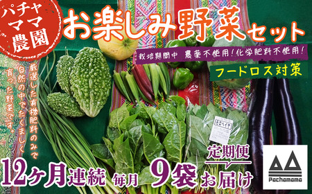 野菜 9袋 訳あり 12ヶ月 定期便 詰め合わせ お任せ 旬 野菜