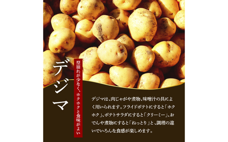 【四国一小さなまちのじゃがいも】★令和５年１２月中旬発送開始★ 大野台地で採れた『 令和５年産 秋じゃが 』 １０ｋｇ　～ 訳あり ～