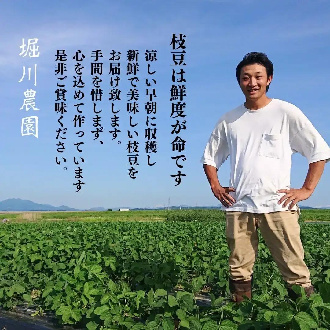枝豆(陽恵)1kg 新潟県産 朝どり 枝豆