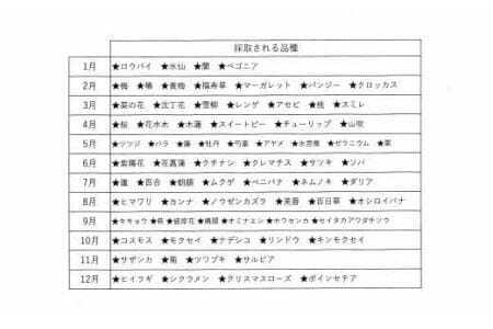 はちみつ 270g 日本みつばち 百花蜂蜜【 はちみつ 】