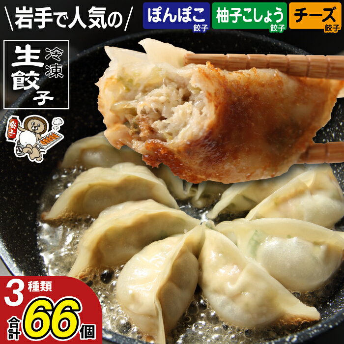 【ふるさと納税】 餃子 おすすめ 冷凍 生餃子 3種類 66個 食べ比べ セット / 惣菜 総菜 おかず ぎょうざ ギョーザ チーズ 柚子こしょう 柚子胡椒 国産野菜 国産豚肉 おつまみ 中華 点心 冷凍食品 ご当地 人気店 冷食 お取り寄せ 焼くだけ 簡単 岩手県 滝沢市 送料無料 初駒
