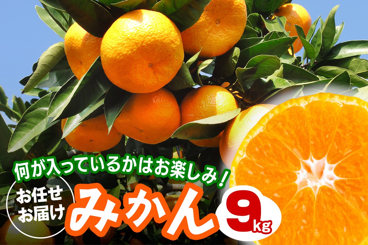 
                  [2026年1月下旬頃から発送] みかん 9kg 品種おまかせ｜先行予約 みかん フルーツ 果物 柑橘 [0530]
                