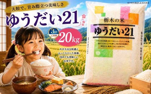 【定期3回】令和8年度 新米 栃木県産 ゆうだい21 白米 20kg（5kg×4袋） | ふるさと 納税 お弁当 お米 精米 美味しい 白米 つやつや とちぎ 大粒 共通返礼品 送料無料 那珂川町 栃木県【栃木県共通返礼品】
