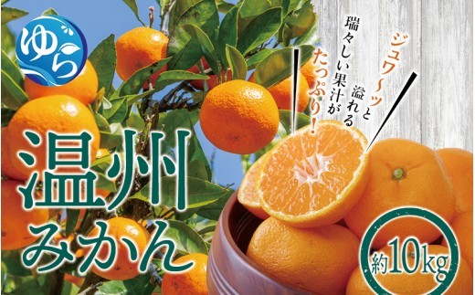 温州みかん 10kg ※2026年12月上旬～12月下旬頃に順次発送予定(お届け日指定不可) / 温州 密柑 JA 糖度 甘い 光センサー ゆらみかん 由良町 ミカン  柑橘 期間限定 和歌山県産【jahd004-r-10】