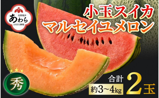 【先行予約】佐藤農園の小玉スイカ・マルセイユメロン セット 計2玉（約3kg～4kg） 秀品 農家直送 有機肥料 低農薬 ※2025年6月上旬より順次発送