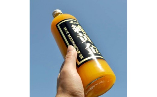 『純黄金』900ml×6本 和歌山みかんジュース 無添加ストレート果汁 紀伊国屋文左衛門本舗［TC8］