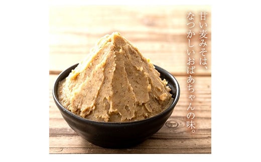 寺田屋の手づくりむてんか麦みそ(計4kg・1kg×4個)九州産の麦や大豆など材料にもこだわった麦味噌！【寺田屋】【A-1690H】