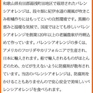 秀品 希少な国産バレンシアオレンジ 5kg ※2026年6月下旬～7月上旬頃に順次発送予定